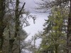 Lac Blanc